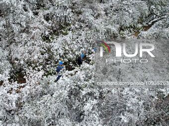 Workers are inspecting power supply lines in the cold mountainous area of Dongling village in Liuzhou, China, on January 23, 2024. (