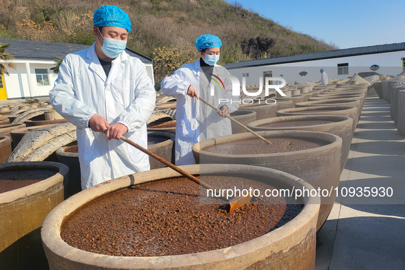 Workers are checking the drying of sauces in a drying field at a soy sauce factory in Lianyungang, Jiangsu Province, China, on January 24, 2...