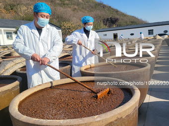 Workers are checking the drying of sauces in a drying field at a soy sauce factory in Lianyungang, Jiangsu Province, China, on January 24, 2...