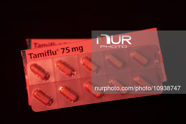 A box and a tablet of Roche Pharmaceuticals' Tamiflu pills for influenza are shown. 