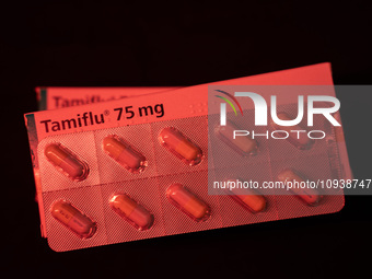 A box and a tablet of Roche Pharmaceuticals' Tamiflu pills for influenza are shown. (