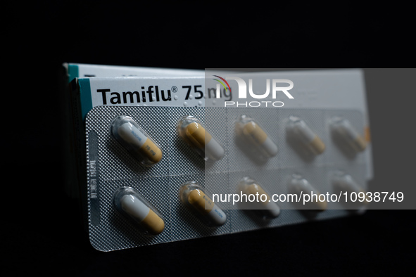 A box and a tablet of Roche Pharmaceuticals' Tamiflu pills for influenza are shown. 