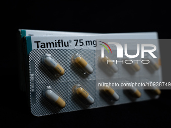 A box and a tablet of Roche Pharmaceuticals' Tamiflu pills for influenza are shown. (