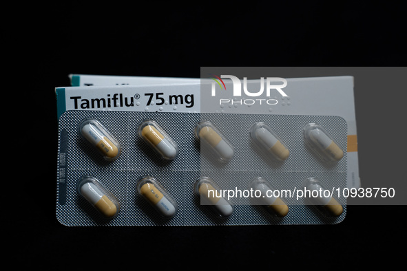 A box and a tablet of Roche Pharmaceuticals' Tamiflu pills for influenza are shown. 