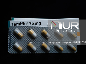 A box and a tablet of Roche Pharmaceuticals' Tamiflu pills for influenza are shown. (