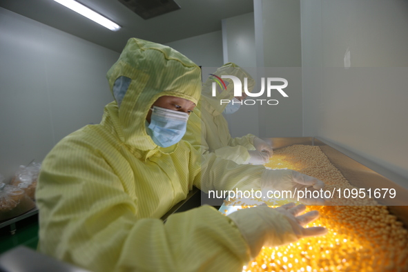 A worker is working on a drug production line at the production workshop of a pharmaceutical company in Meishan, China, on January 30, 2024....