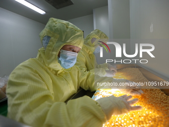 A worker is working on a drug production line at the production workshop of a pharmaceutical company in Meishan, China, on January 30, 2024....