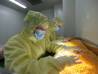 A worker is working on a drug production line at the production workshop of a pharmaceutical company in Meishan, China, on January 30, 2024....