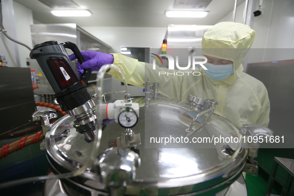 A worker is working on a drug production line at the production workshop of a pharmaceutical company in Meishan, China, on January 30, 2024....