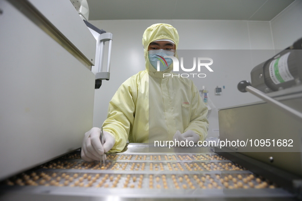 A worker is working on a drug production line at the production workshop of a pharmaceutical company in Meishan, China, on January 30, 2024....