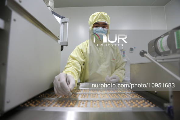 A worker is working on a drug production line at the production workshop of a pharmaceutical company in Meishan, China, on January 30, 2024....