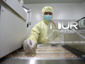 A worker is working on a drug production line at the production workshop of a pharmaceutical company in Meishan, China, on January 30, 2024....