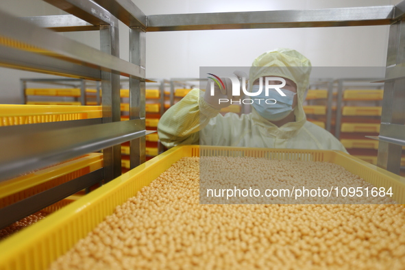 A worker is working on a drug production line at the production workshop of a pharmaceutical company in Meishan, China, on January 30, 2024....