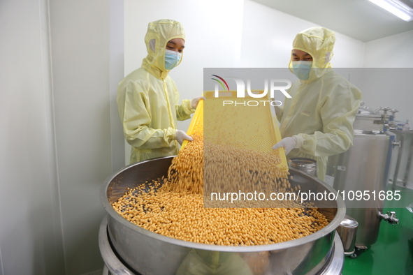 A worker is working on a drug production line at the production workshop of a pharmaceutical company in Meishan, China, on January 30, 2024....