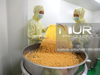 A worker is working on a drug production line at the production workshop of a pharmaceutical company in Meishan, China, on January 30, 2024....