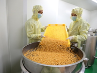 A worker is working on a drug production line at the production workshop of a pharmaceutical company in Meishan, China, on January 30, 2024....