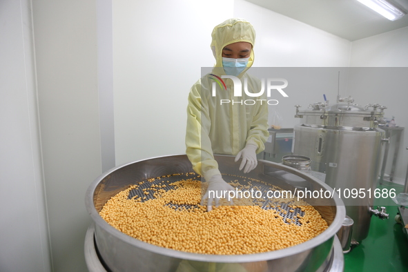 A worker is working on a drug production line at the production workshop of a pharmaceutical company in Meishan, China, on January 30, 2024....