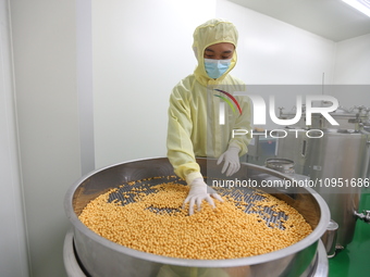 A worker is working on a drug production line at the production workshop of a pharmaceutical company in Meishan, China, on January 30, 2024....