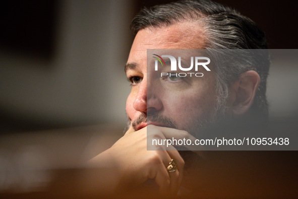 Sen. Ted Cruz (R-TX) listens as social media CEOs answer questions during a Senate Judiciary Committee hearing on the crisis of online child...