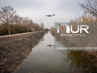 The Llobregat Delta is being affected by the extreme drought that Catalonia is currently experiencing, which has recently entered the first...