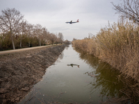 The Llobregat Delta is being affected by the extreme drought that Catalonia is currently experiencing, which has recently entered the first...