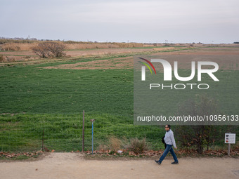 The Llobregat Delta is being affected by the extreme drought that Catalonia is currently experiencing, which has recently entered the first...