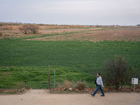 The Llobregat Delta is being affected by the extreme drought that Catalonia is currently experiencing, which has recently entered the first...