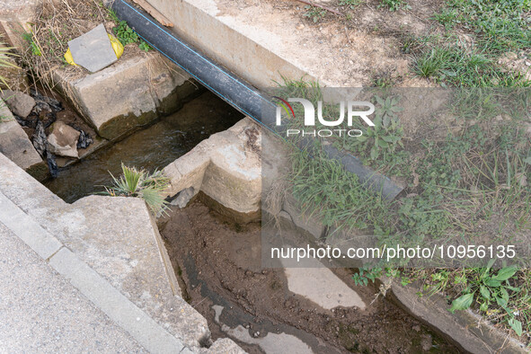 The Llobregat Delta is being affected by the extreme drought that Catalonia is currently experiencing, which has recently entered the first...