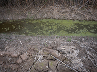 The Llobregat Delta is being affected by the extreme drought that Catalonia is currently experiencing, which has recently entered the first...