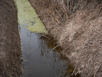 The Llobregat Delta is being affected by the extreme drought that Catalonia is currently experiencing, which has recently entered the first...