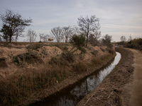 The Llobregat Delta is being affected by the extreme drought that Catalonia is currently experiencing, which has recently entered the first...