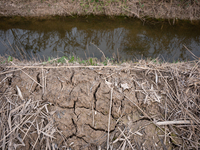 The Llobregat Delta is being affected by the extreme drought that Catalonia is currently experiencing, which has recently entered the first...