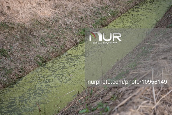 The Llobregat Delta is being affected by the extreme drought that Catalonia is currently experiencing, which has recently entered the first...