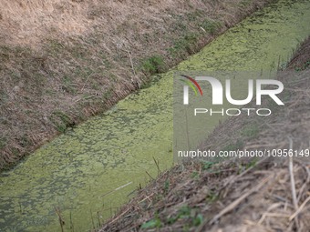 The Llobregat Delta is being affected by the extreme drought that Catalonia is currently experiencing, which has recently entered the first...