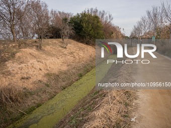 The Llobregat Delta is being affected by the extreme drought that Catalonia is currently experiencing, which has recently entered the first...