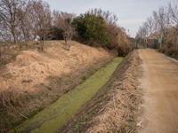 The Llobregat Delta is being affected by the extreme drought that Catalonia is currently experiencing, which has recently entered the first...