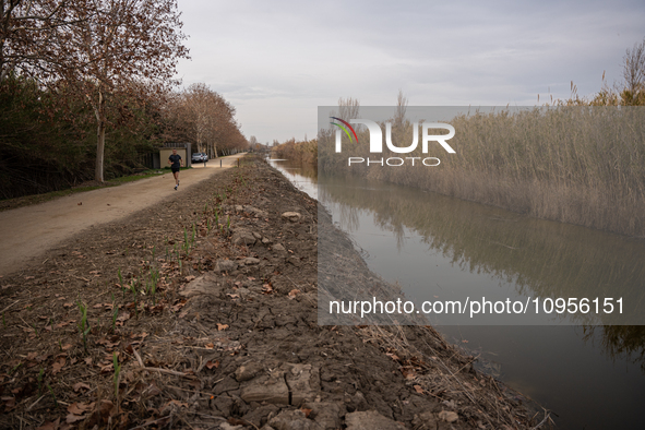 The Llobregat Delta is being affected by the extreme drought that Catalonia is currently experiencing, which has recently entered the first...