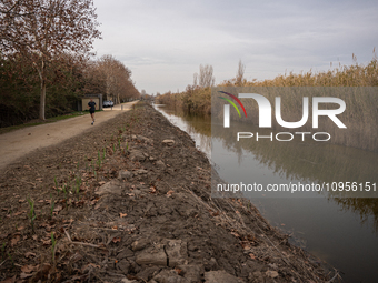 The Llobregat Delta is being affected by the extreme drought that Catalonia is currently experiencing, which has recently entered the first...