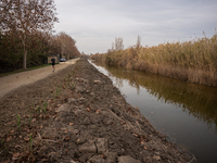 The Llobregat Delta is being affected by the extreme drought that Catalonia is currently experiencing, which has recently entered the first...