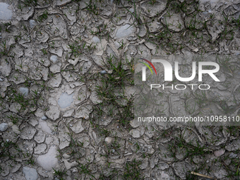 The Rialb reservoir in the province of Lleida is experiencing the effects of drought in La Noguera, Spain, on February 2, 2024. Catalonia is...