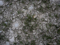 The Rialb reservoir in the province of Lleida is experiencing the effects of drought in La Noguera, Spain, on February 2, 2024. Catalonia is...