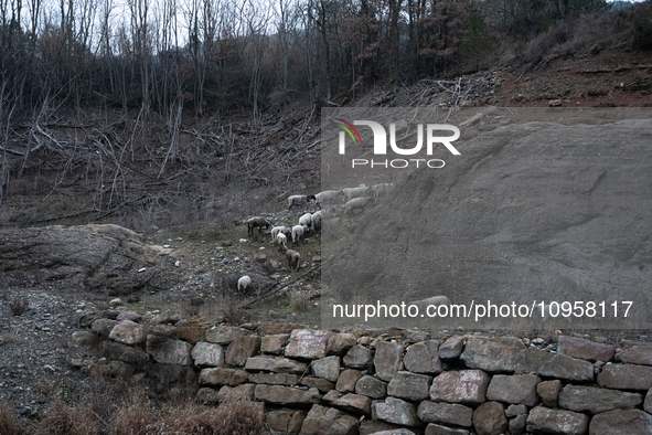 The Rialb reservoir in the province of Lleida is experiencing the effects of drought in La Noguera, Spain, on February 2, 2024. Catalonia is...