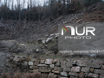 The Rialb reservoir in the province of Lleida is experiencing the effects of drought in La Noguera, Spain, on February 2, 2024. Catalonia is...