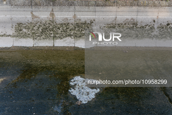 The Urgell Canal in the province of Lleida is experiencing the effects of the drought that Catalonia is currently suffering from, with the r...