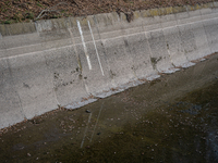 The Urgell Canal in the province of Lleida is experiencing the effects of the drought that Catalonia is currently suffering from, with the r...