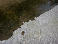 The Urgell Canal in the province of Lleida is experiencing the effects of the drought that Catalonia is currently suffering from, with the r...