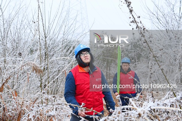 Electric workers are patrolling power supply lines after snow in Meizhou village, Chuzhou, China, on February 4, 2024. 