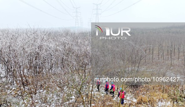 Electric workers are patrolling power supply lines after snow in Meizhou village, Chuzhou, China, on February 4, 2024. 