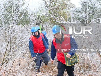 Electric workers are patrolling power supply lines after snow in Meizhou village, Chuzhou, China, on February 4, 2024. (