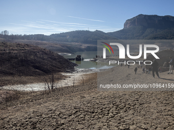 Hundreds of people are visiting the old town of Sant Roma de Sau, where normally the water of the Sau reservoir would almost completely cove...